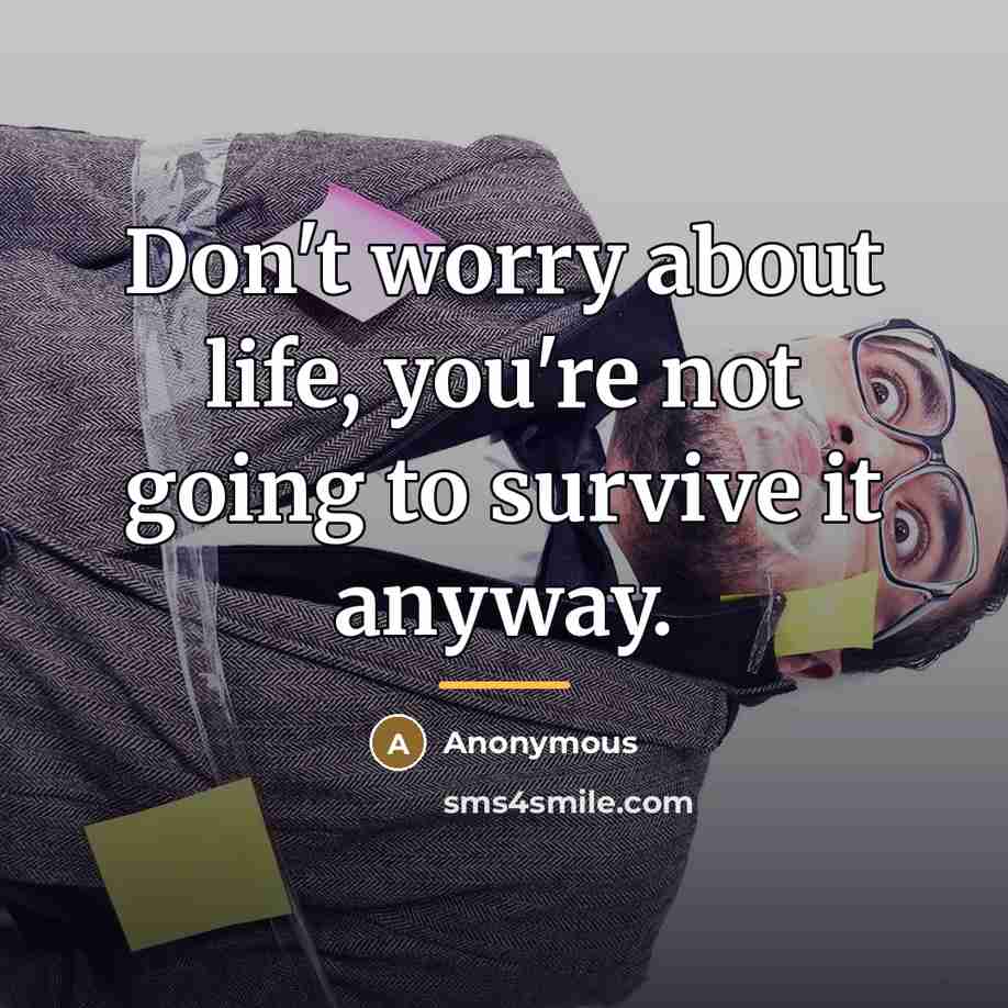 “Don't worry about life, you're not going to survive it…” quote by Anonymous