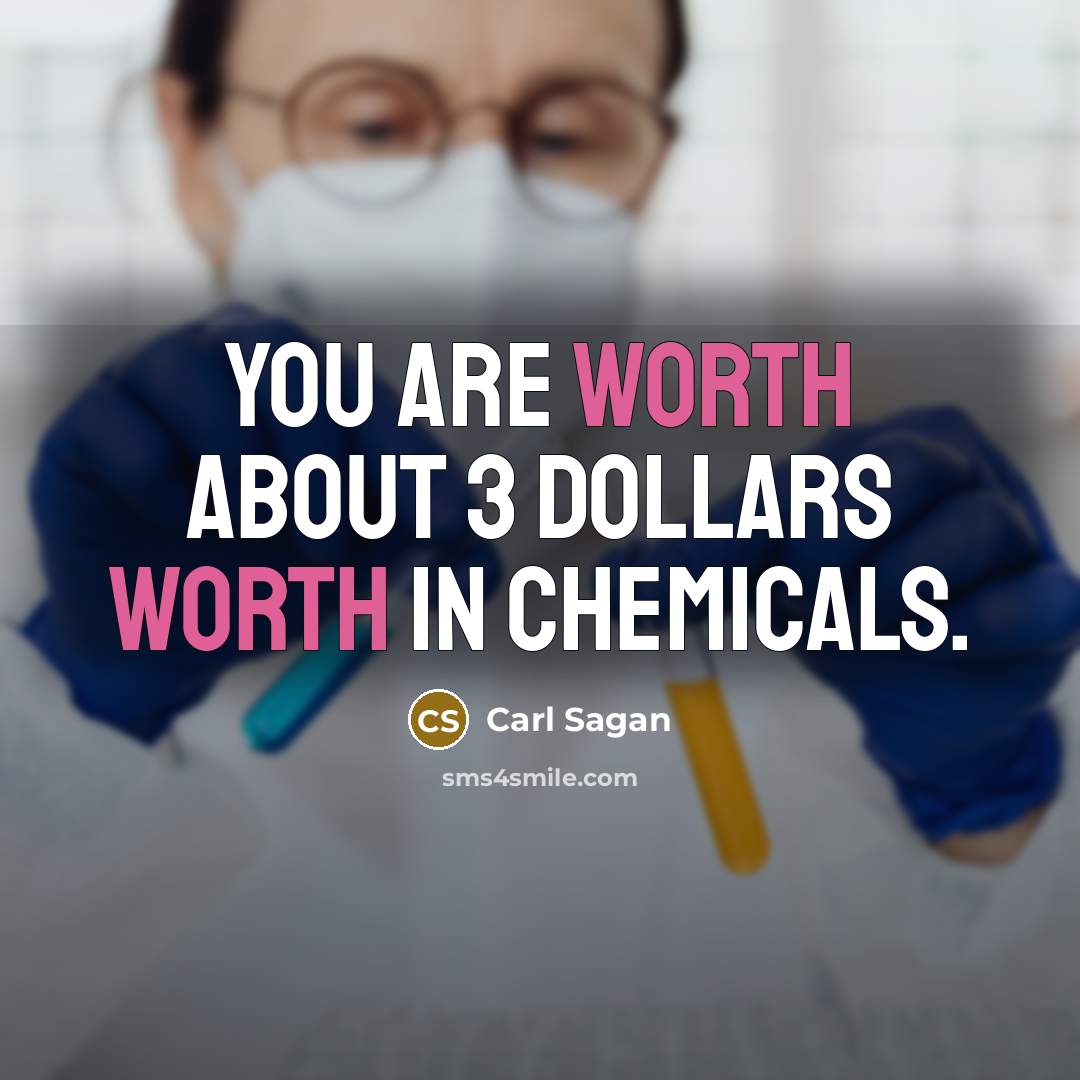 “You are worth about 3 dollars worth in chemicals.…” quote by Carl Sagan
