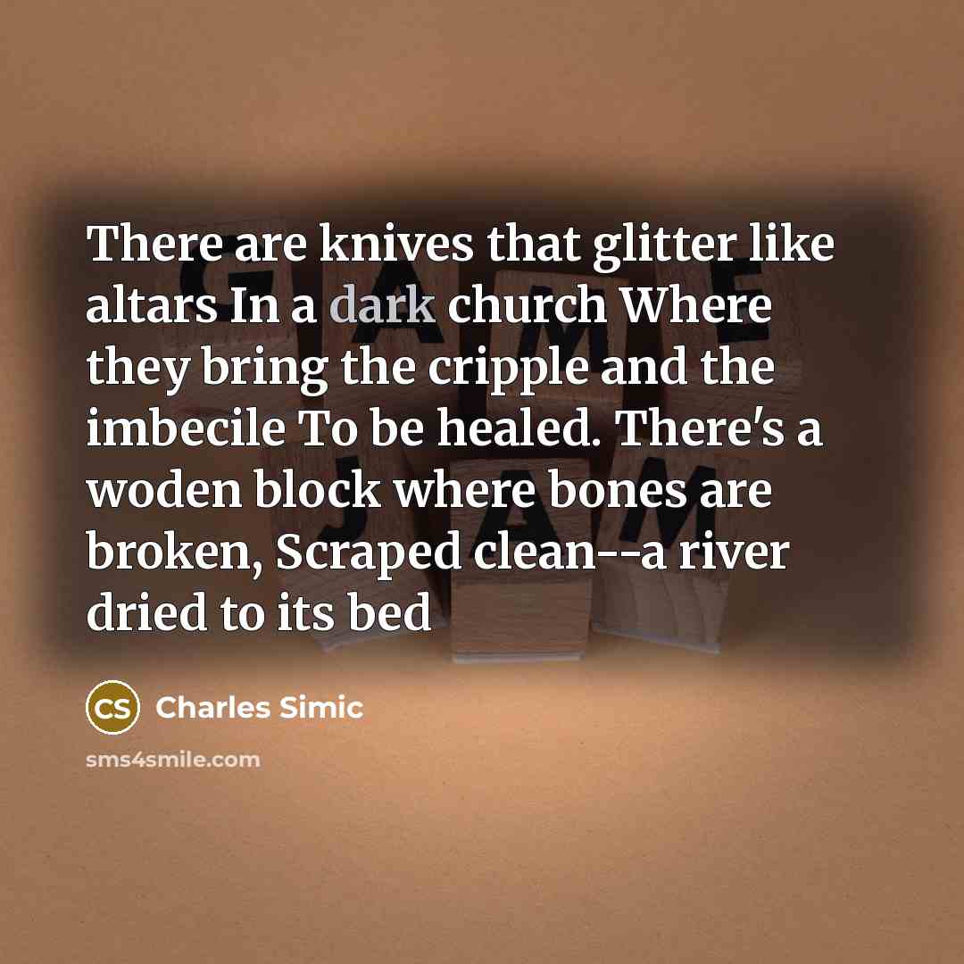 “There are knives that glitter like altars In a dark…” quote by Charles Simic