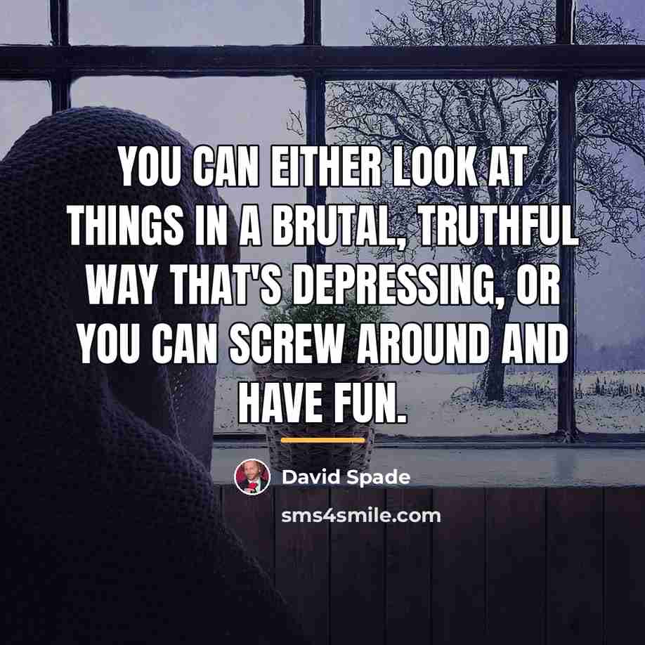 “You can either look at things in a brutal, truthful…” quote by David Spade