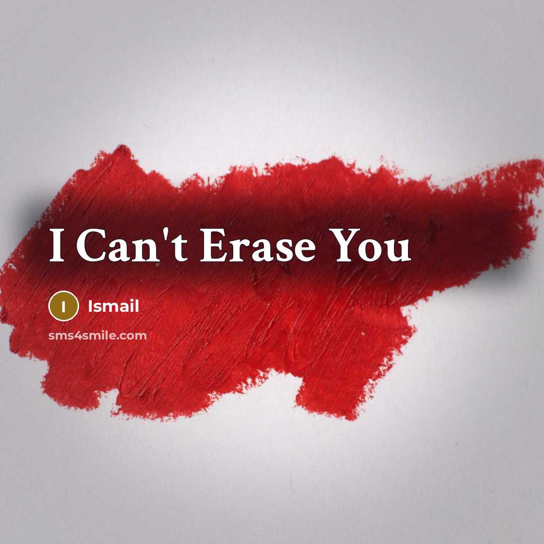 “I Can't Erase You…” quote by Ismail