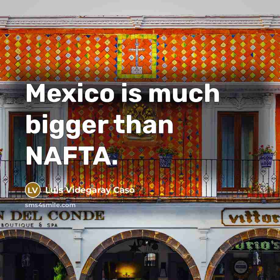 “Mexico is much bigger than NAFTA.…” quote by Luis Videgaray Caso