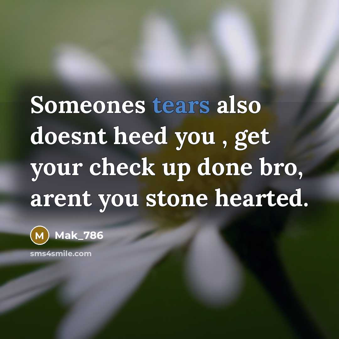“Someones tears also doesnt heed you , get your check up done bro, arent you stone hearted.” quote by Mak_786