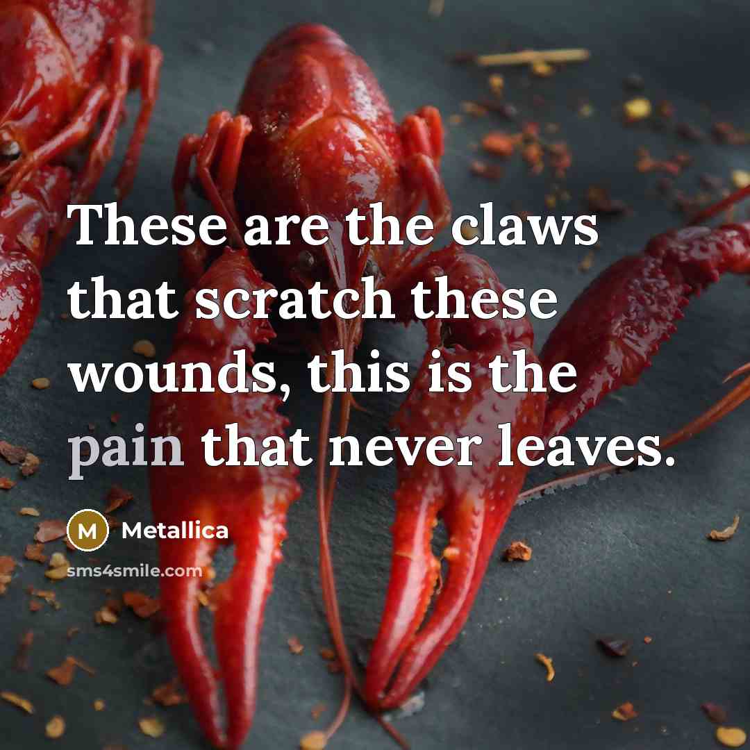 “These are the claws that scratch these wounds, this is…” quote by Metallica