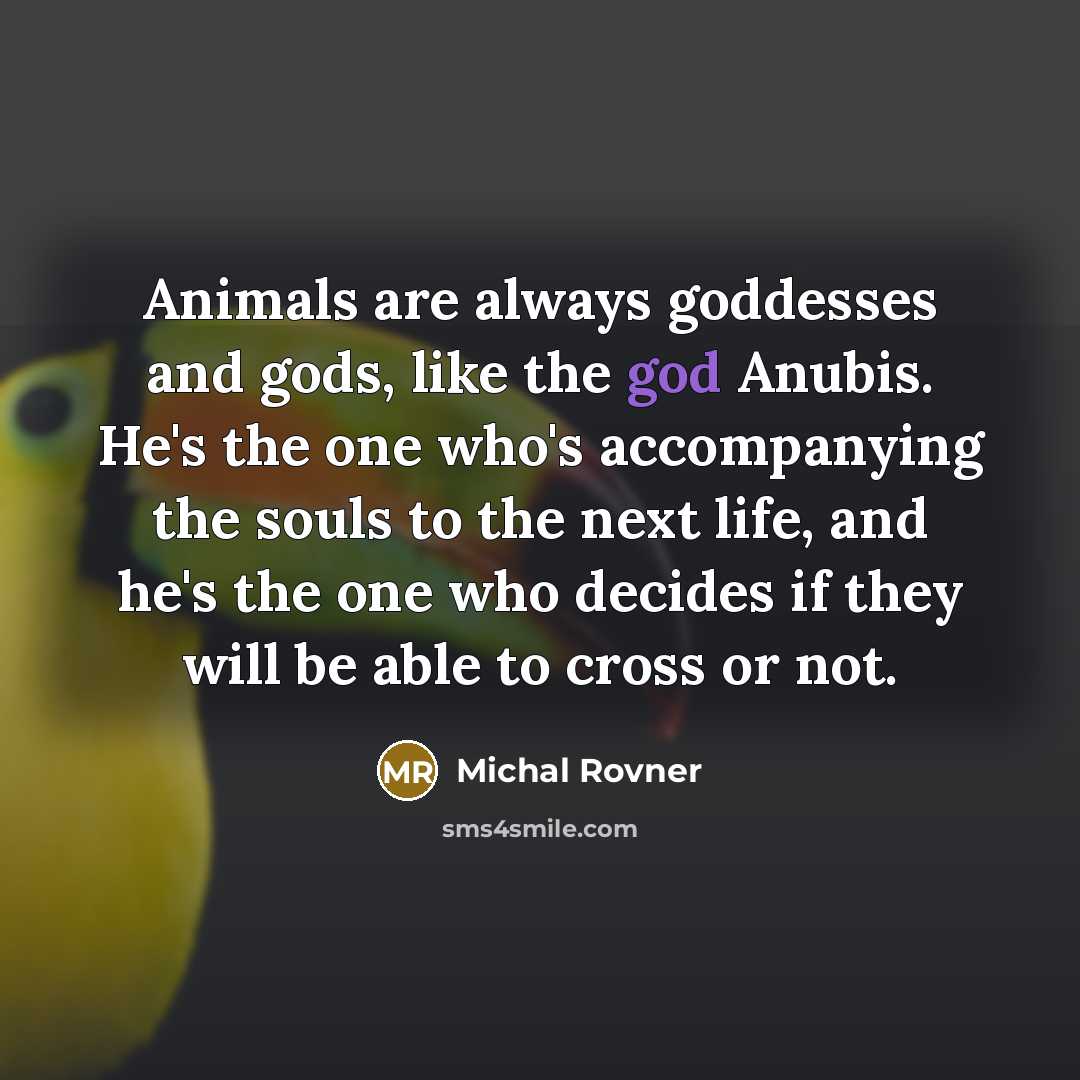 “Animals are always goddesses and gods, like the god Anubis.…” quote by Michal Rovner