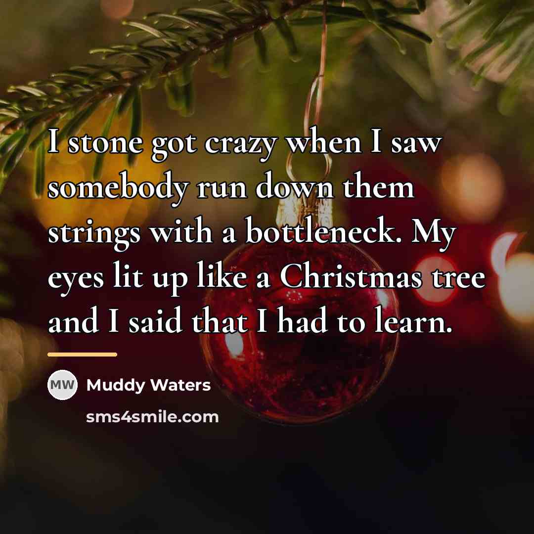 “I stone got crazy when I saw somebody run down…” quote by Muddy Waters
