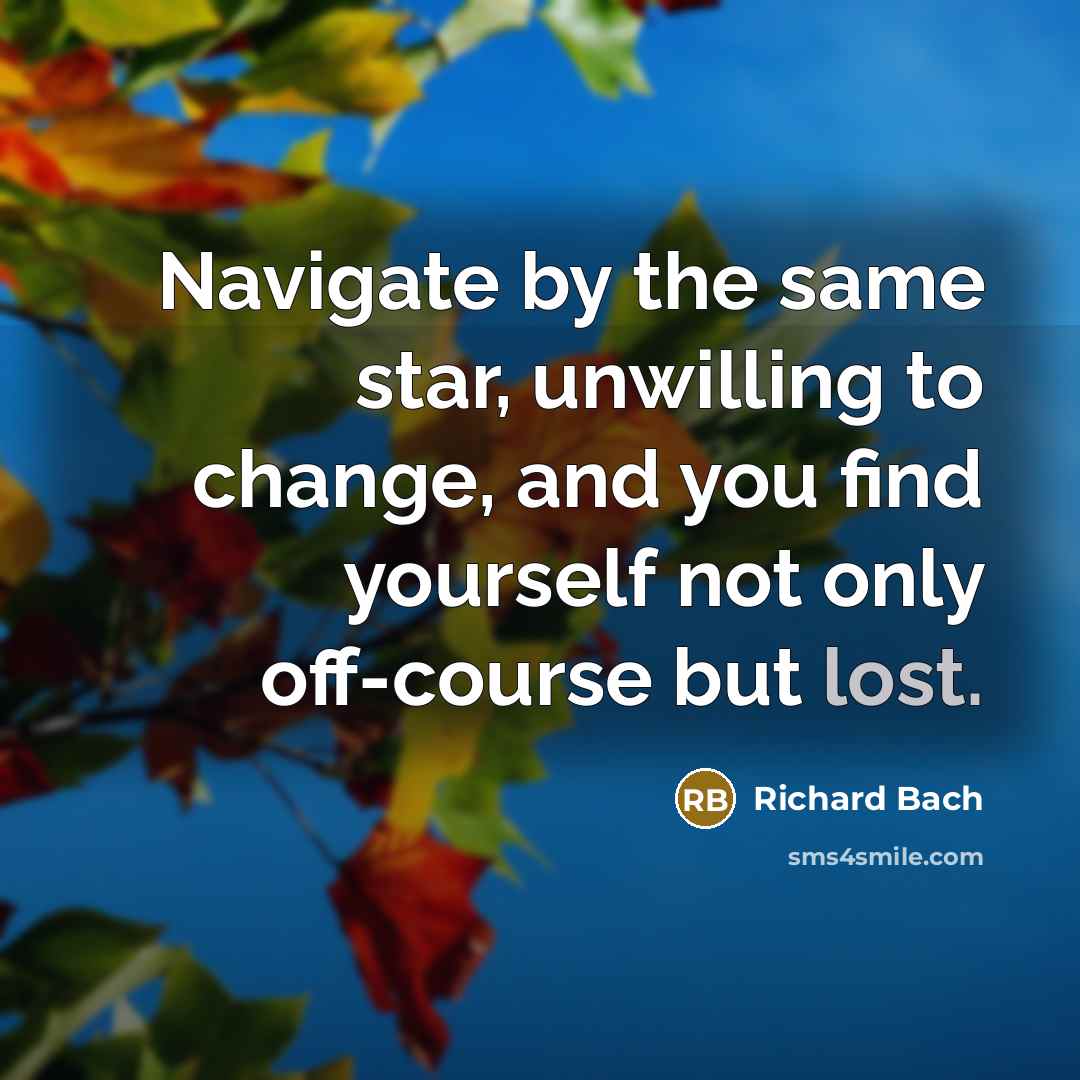 “Navigate by the same star, unwilling to change, and you…” quote by Richard Bach