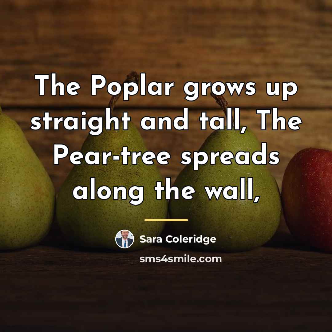 “The Poplar grows up straight and tall, The Pear-tree spreads…” quote by Sara Coleridge
