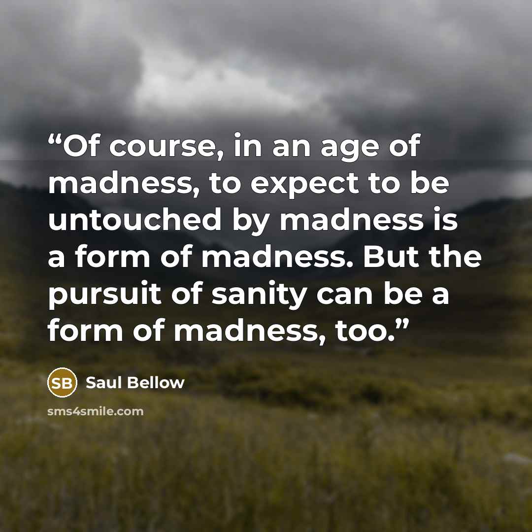 “Of course, in an age of madness, to expect to be untouched by madness is a form of madness. But the pursuit of sanity can be a form of madness, too.” quote by Saul Bellow