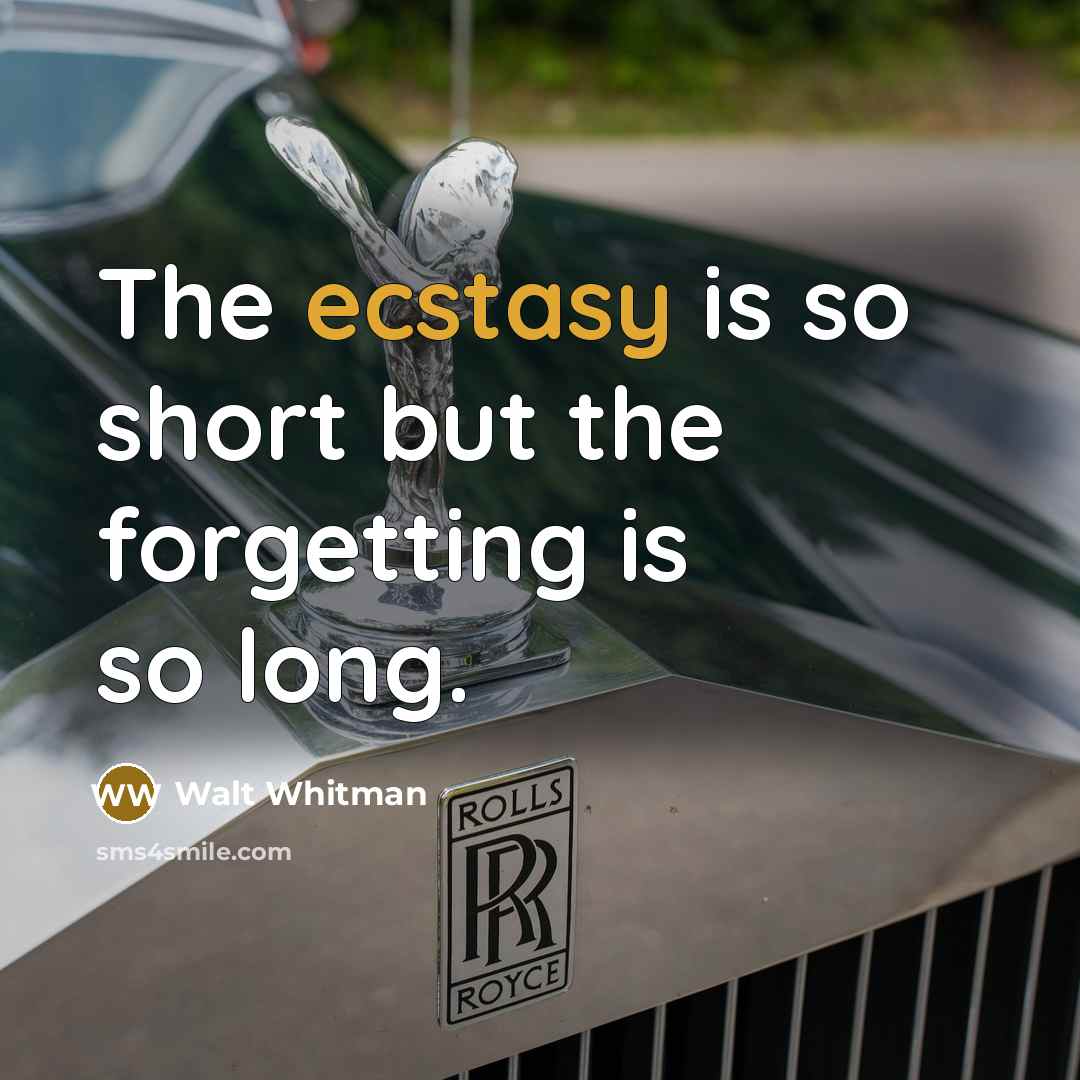 “The ecstasy is so short but the forgetting is so…” quote by Walt Whitman