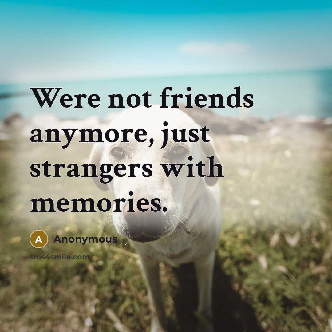 “Were not friends anymore, just strangers with memories.…” quote by Anonymous