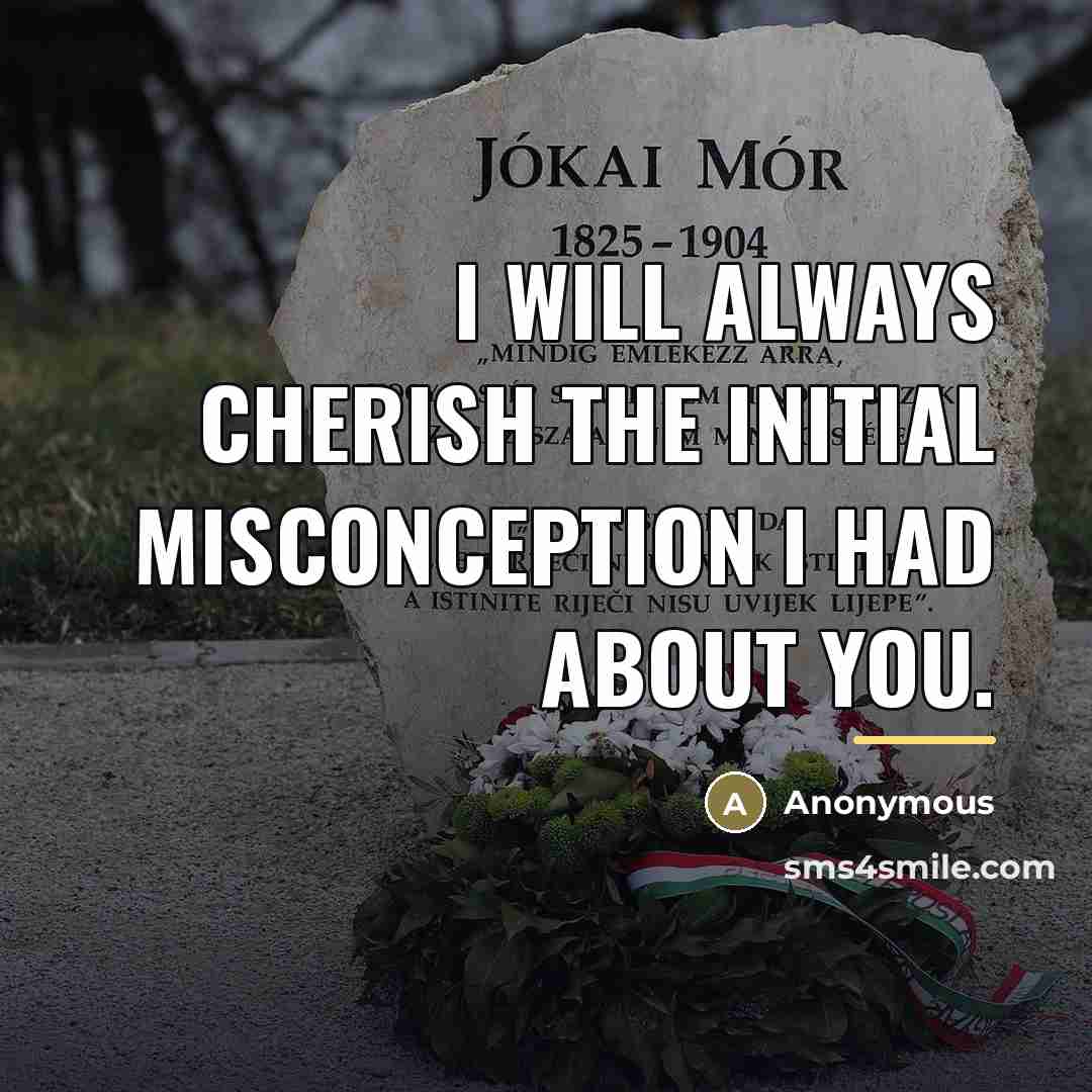 “I will always cherish the initial misconception I had about…” quote by Anonymous