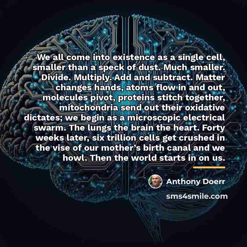“We all come into existence as a single cell, smaller…” quote by Anthony Doerr