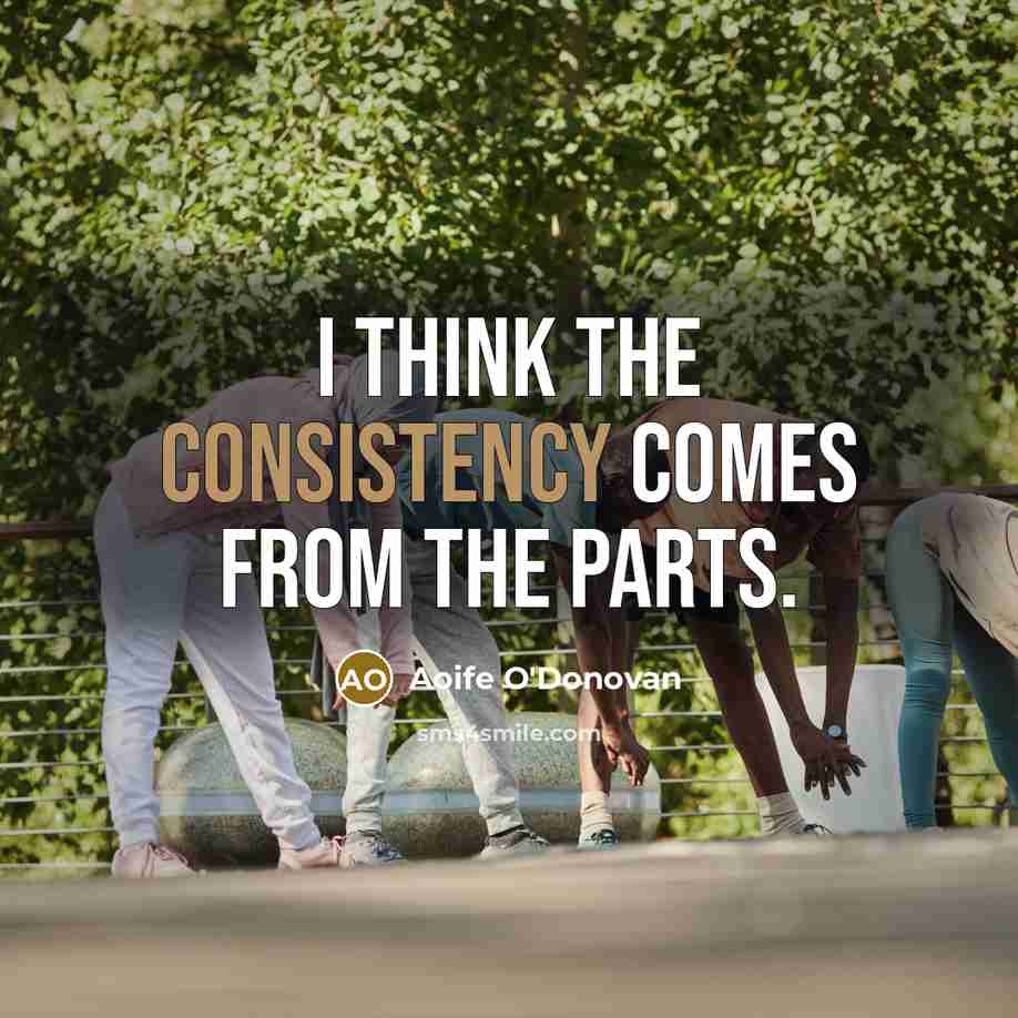 “I think the consistency comes from the parts.…” quote by Aoife O'Donovan
