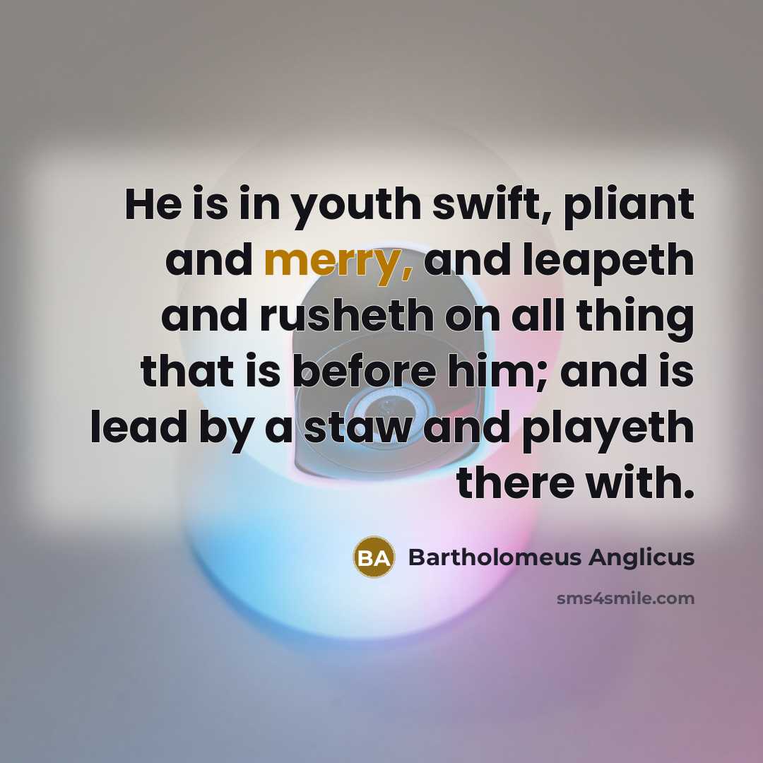 “He is in youth swift, pliant and merry, and leapeth and rusheth on all thing that is before him; and is lead by a staw and playeth there with.” quote by Bartholomeus Anglicus