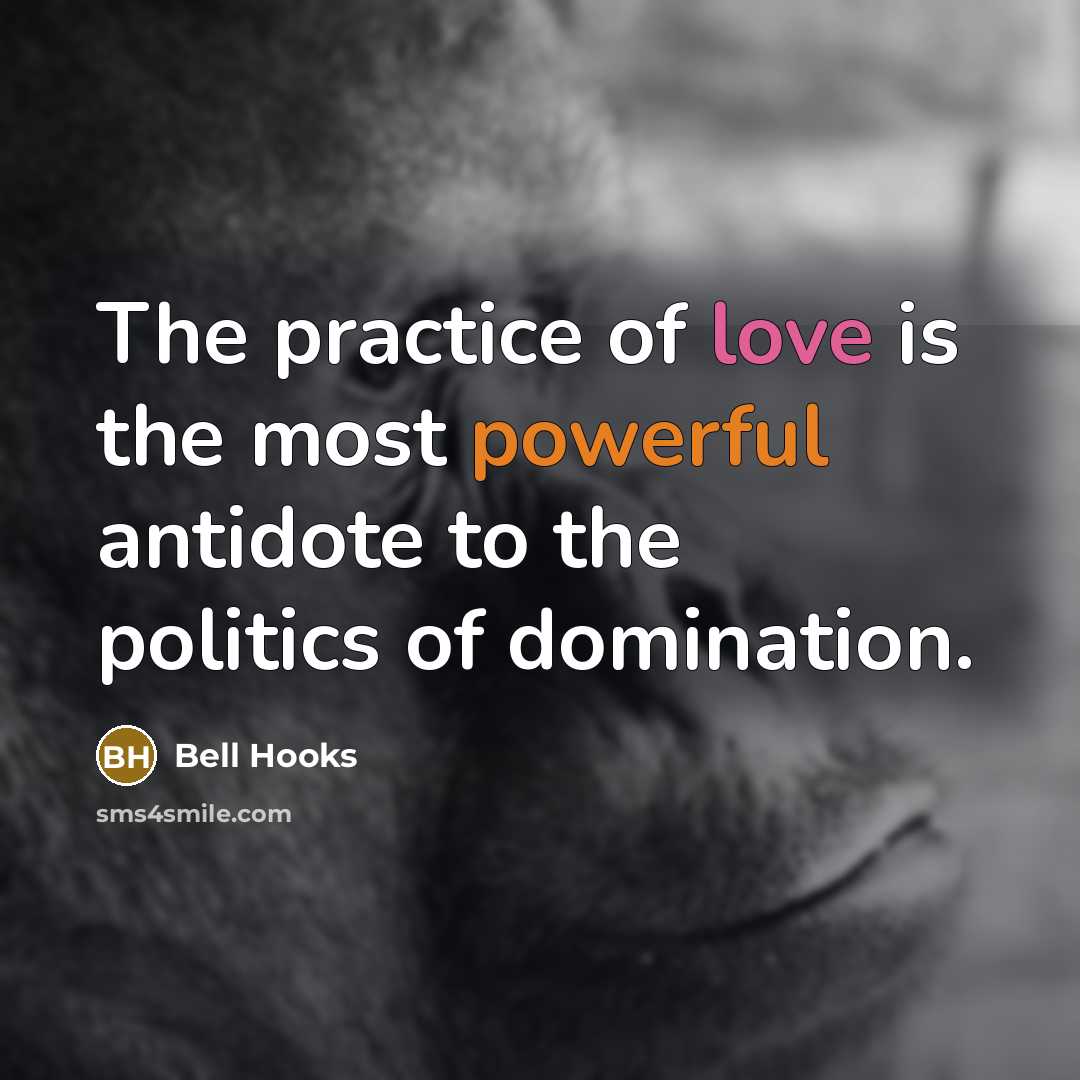 “The practice of love is the most powerful antidote to…” quote by Bell Hooks