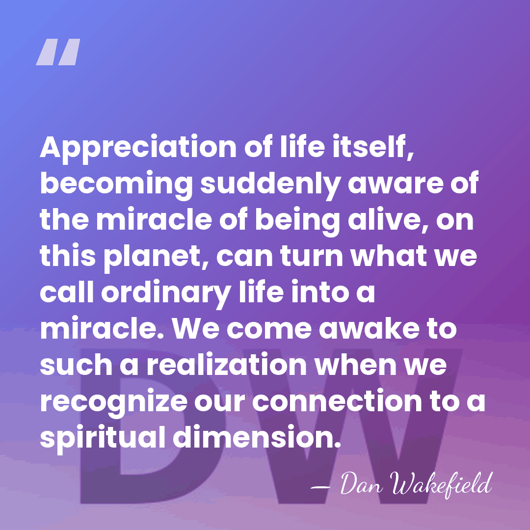 Appreciation of life itself, becoming suddenly aware of the miracle of being&hellip; - Dan Wakefield