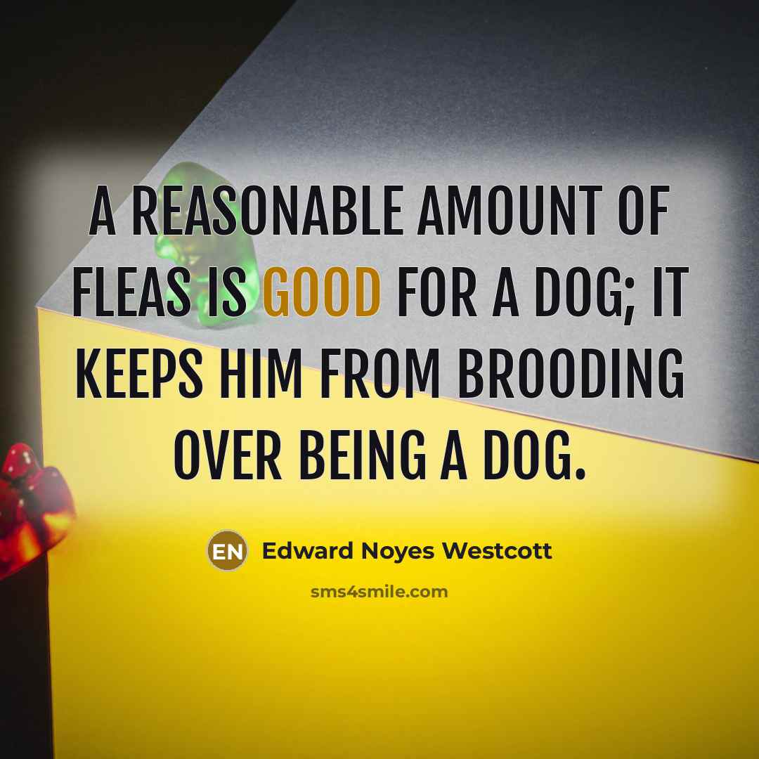 “A reasonable amount of fleas is good for a dog;…” quote by Edward Noyes Westcott
