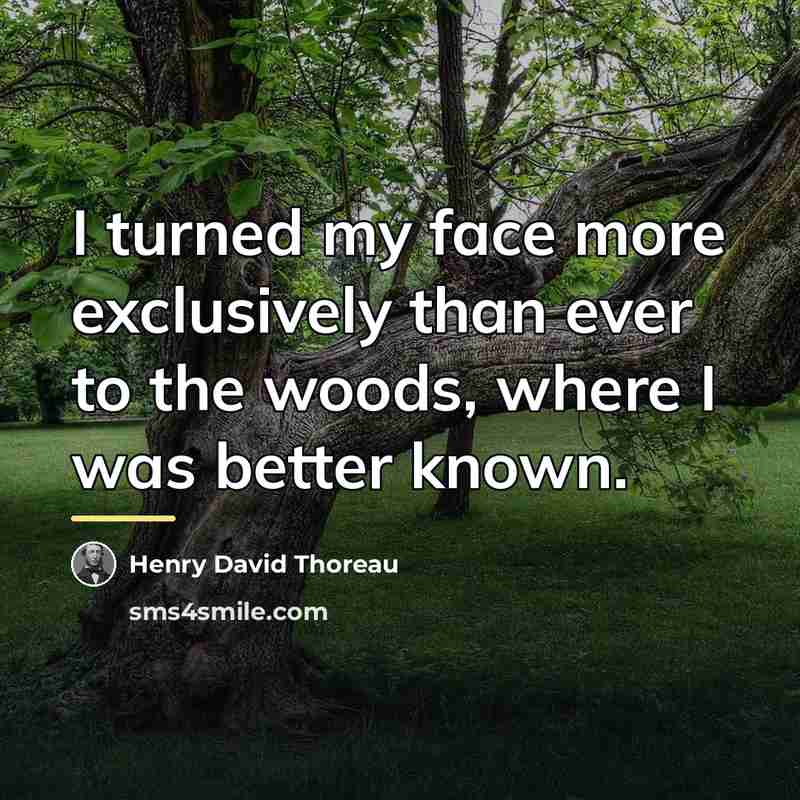 “I turned my face more exclusively than ever to the…” quote by Henry David Thoreau