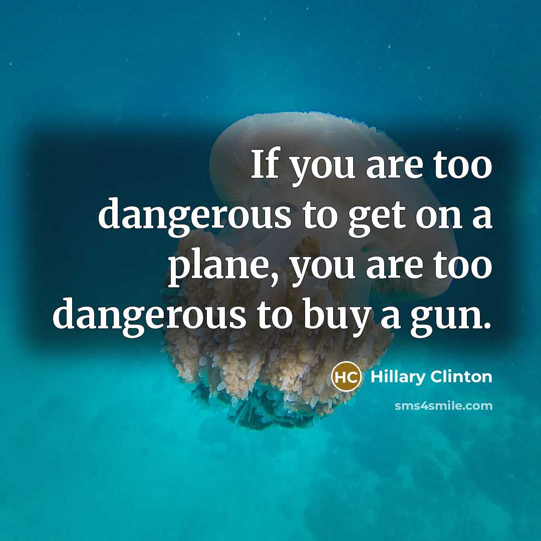 “If you are too dangerous to get on a plane,…” quote by Hillary Clinton