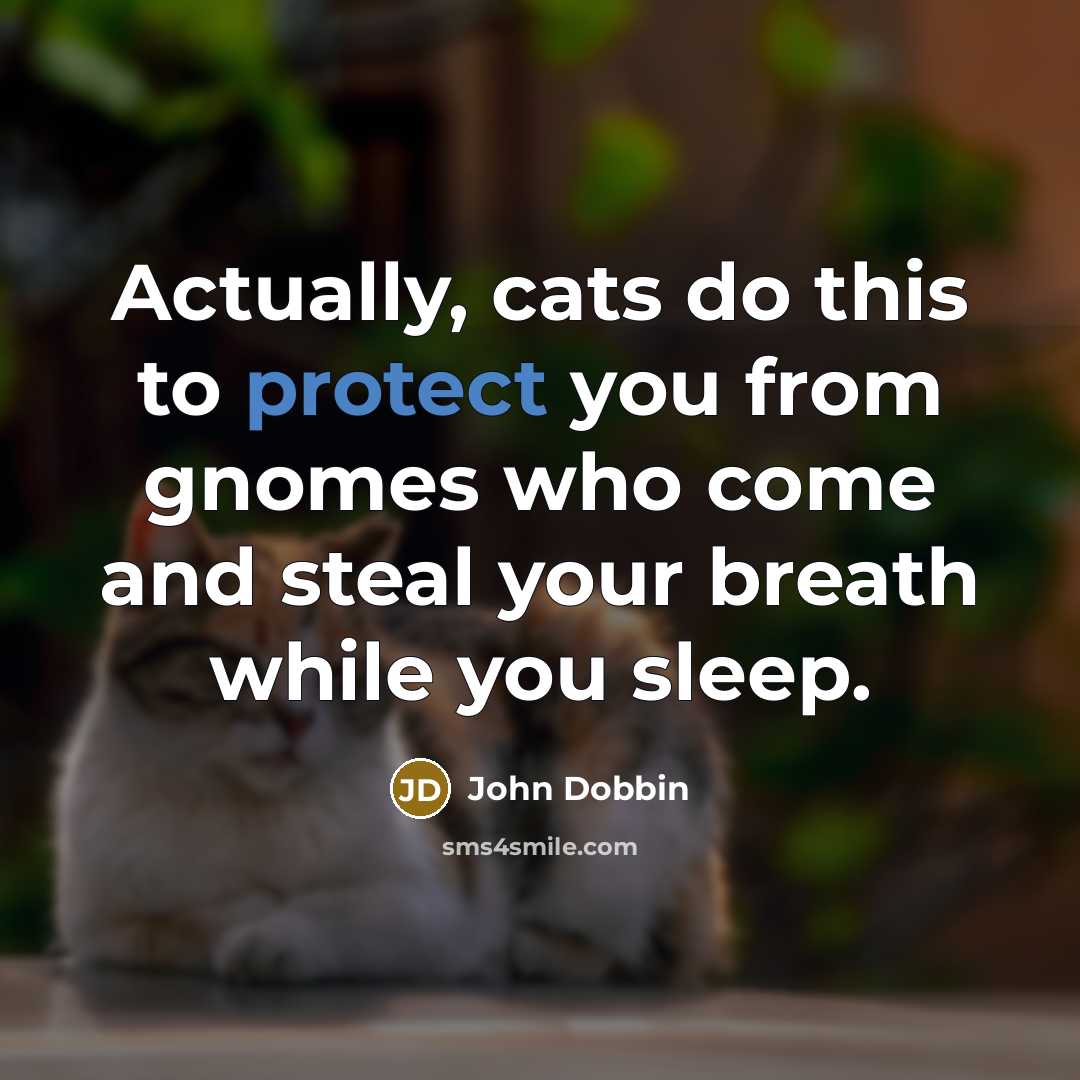 “Actually, cats do this to protect you from gnomes who…” quote by John Dobbin