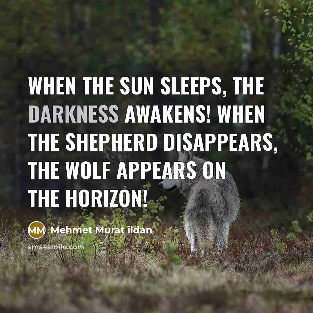 “When the sun sleeps, the darkness awakens! When the shepherd…” quote by Mehmet Murat Ildan