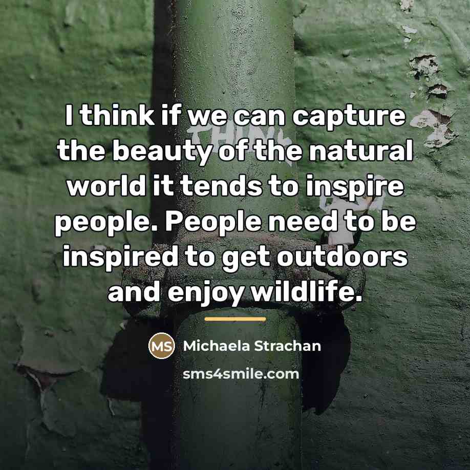 “I think if we can capture the beauty of the…” quote by Michaela Strachan