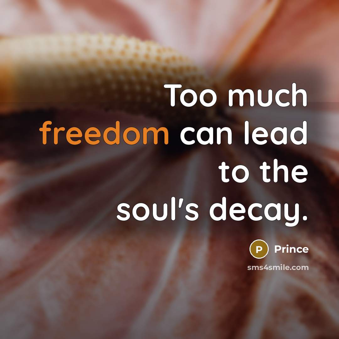 “Too much freedom can lead to the soul's decay.…” quote by Prince