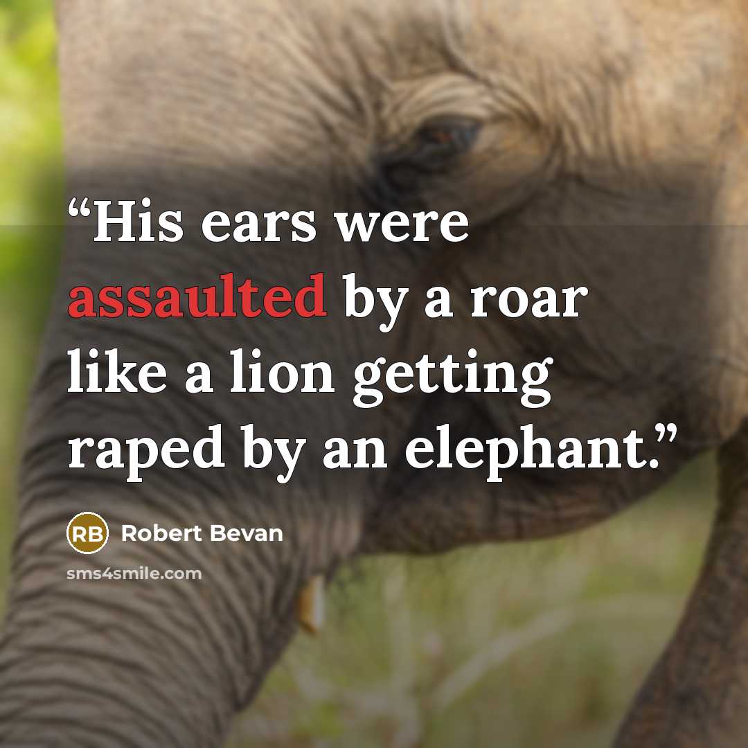 “His ears were assaulted by a roar like a lion getting raped by an elephant.” quote by Robert Bevan
