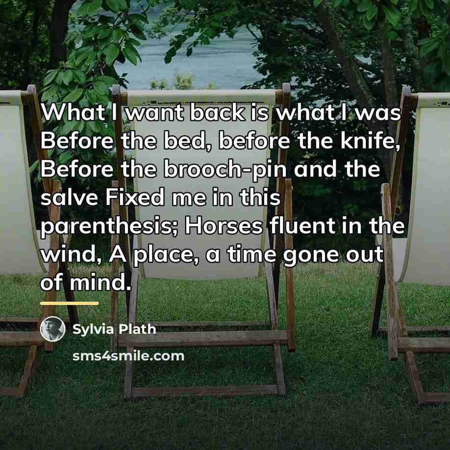 “What I want back is what I was Before the…” quote by Sylvia Plath