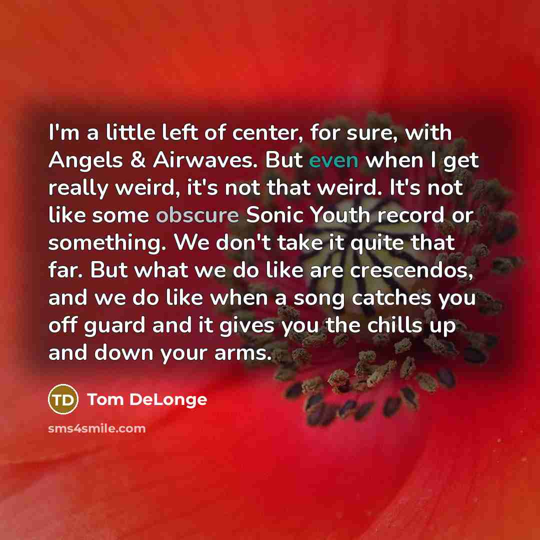 “I'm a little left of center, for sure, with Angels…” quote by Tom DeLonge