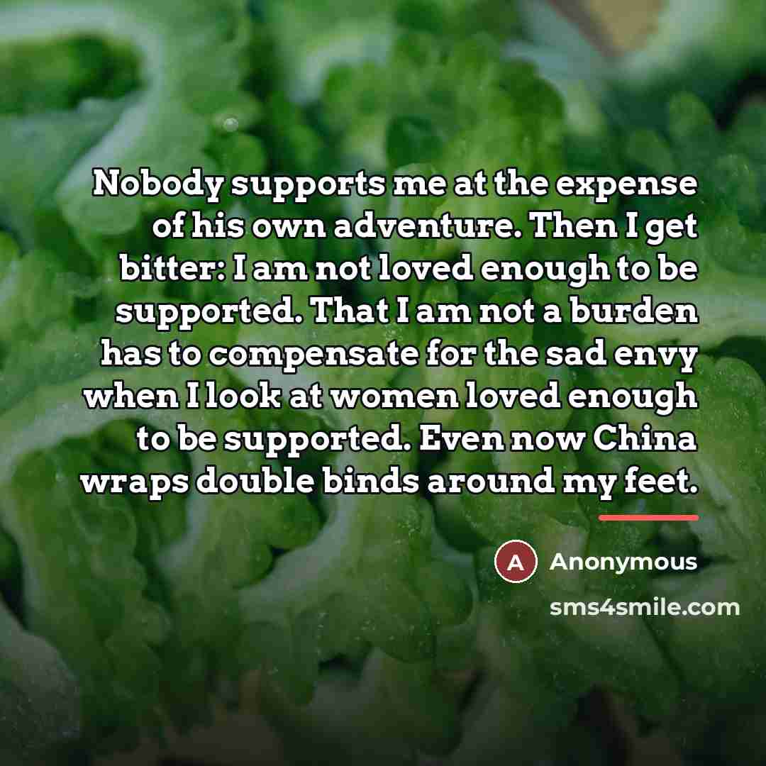 “Nobody supports me at the expense of his own adventure.…” quote by Anonymous