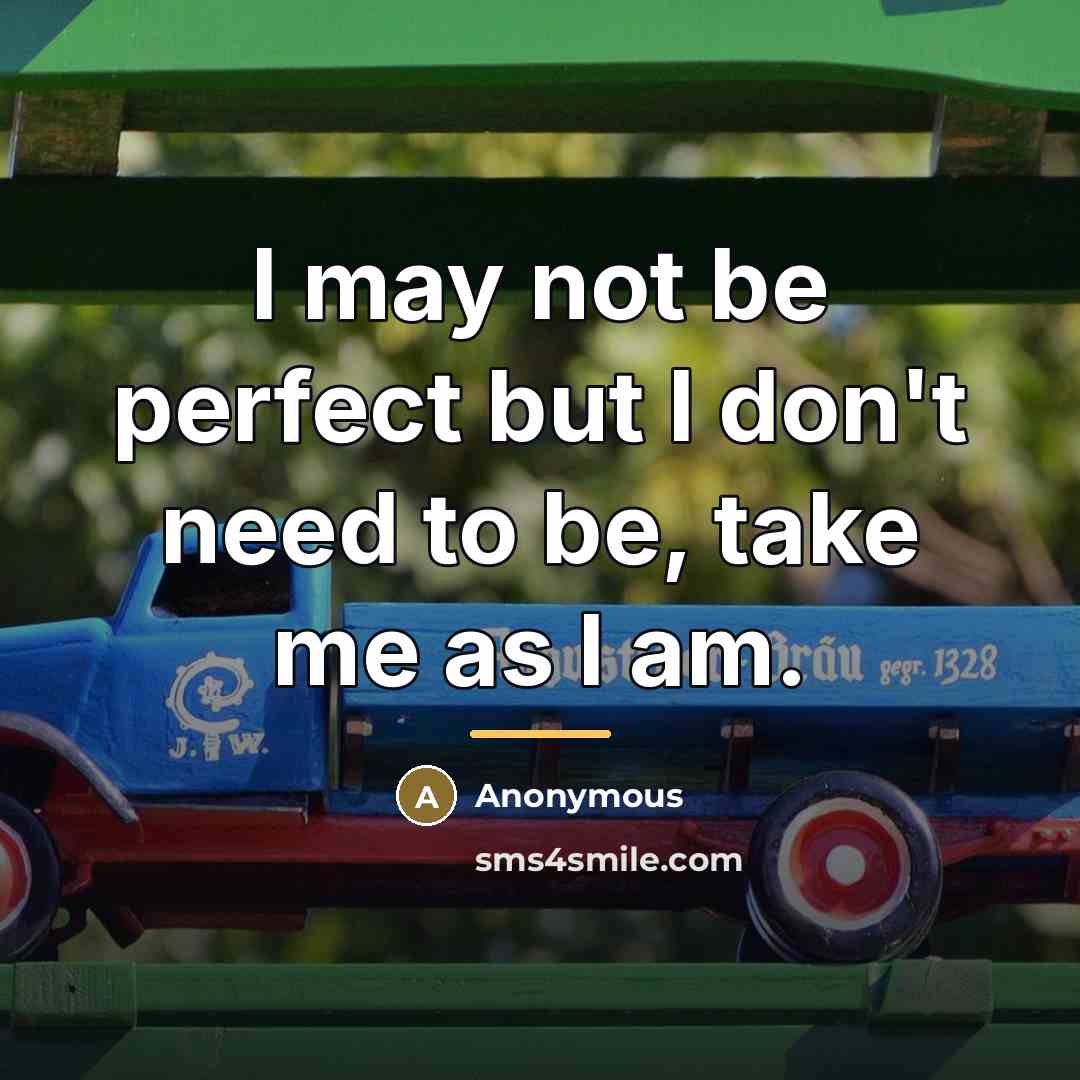 “I may not be perfect but I don't need to…” quote by Anonymous