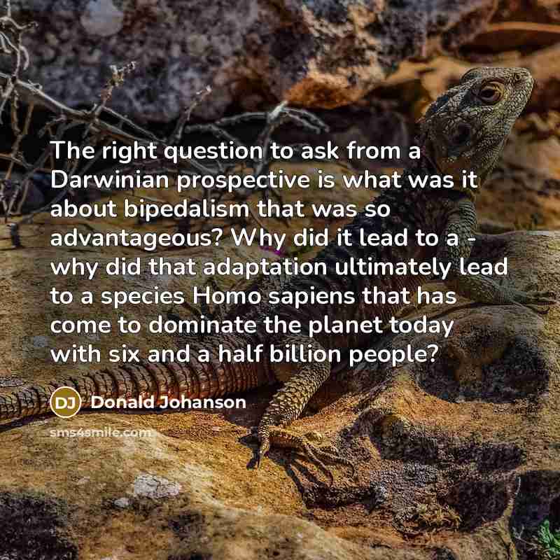 “The right question to ask from a Darwinian prospective is…” quote by Donald Johanson