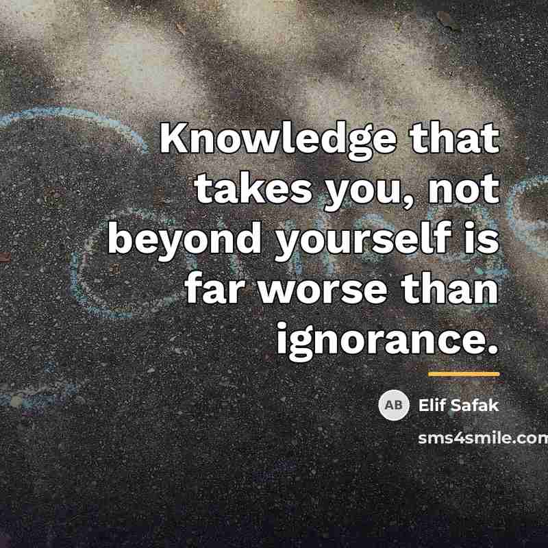 “Knowledge that takes you, not beyond yourself is far worse…” quote by Elif Safak