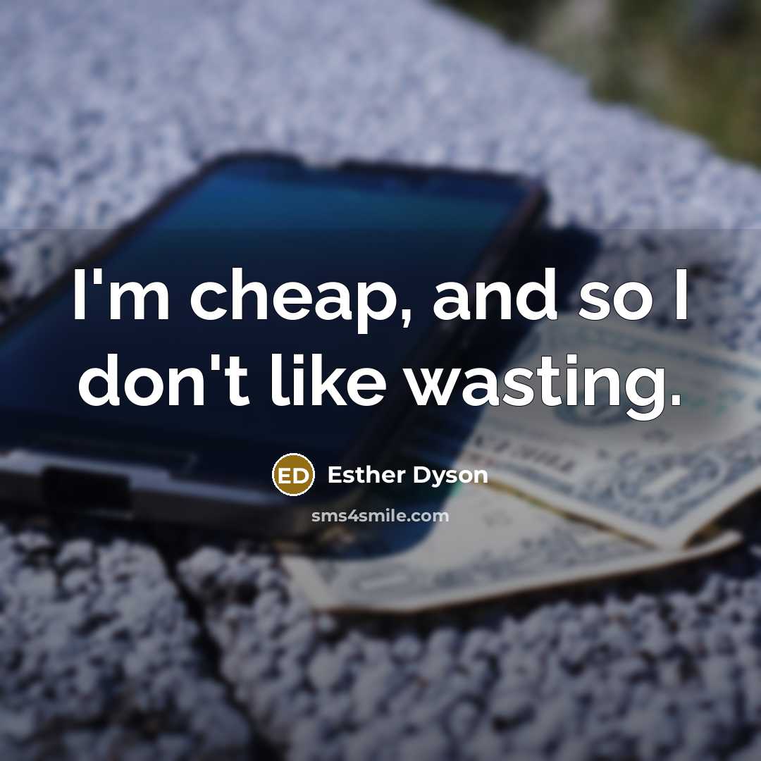 “I'm cheap, and so I don't like wasting.…” quote by Esther Dyson