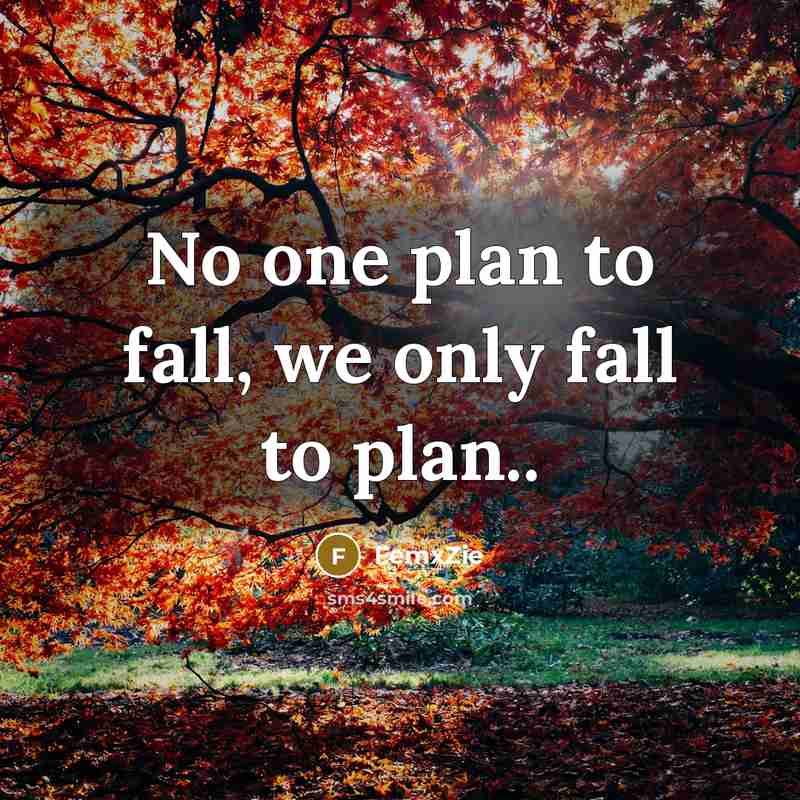 “No one plan to fall, we only fall to plan..” quote by FemxZie