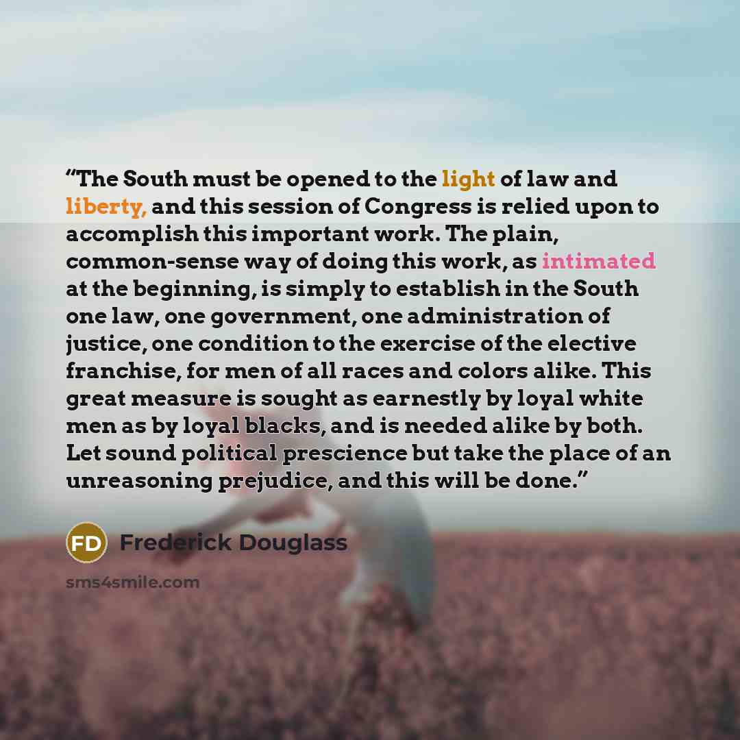 “The South must be opened to the light of law and liberty, and this session of Congress is relied upon to accomplish this important work. The plain, common-sense way of doing this work, as intimated at the beginning, is simply to establish in the South one law, one government, one administration of…” quote by Frederick Douglass
