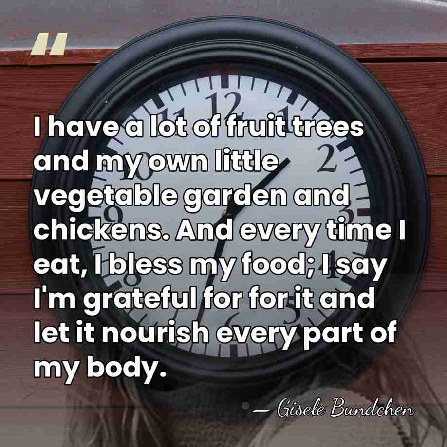 I have a lot of fruit trees and my own little vegetable&hellip; - Gisele Bundchen