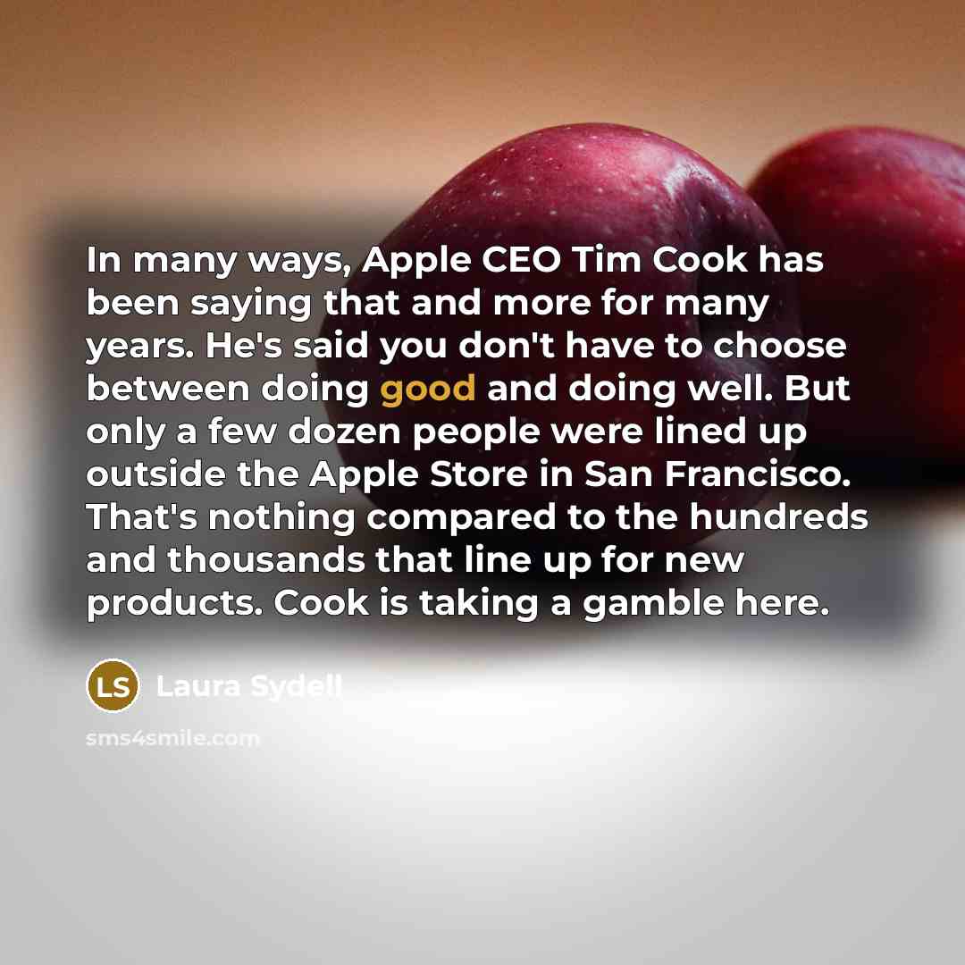 “In many ways, Apple CEO Tim Cook has been saying…” quote by Laura Sydell