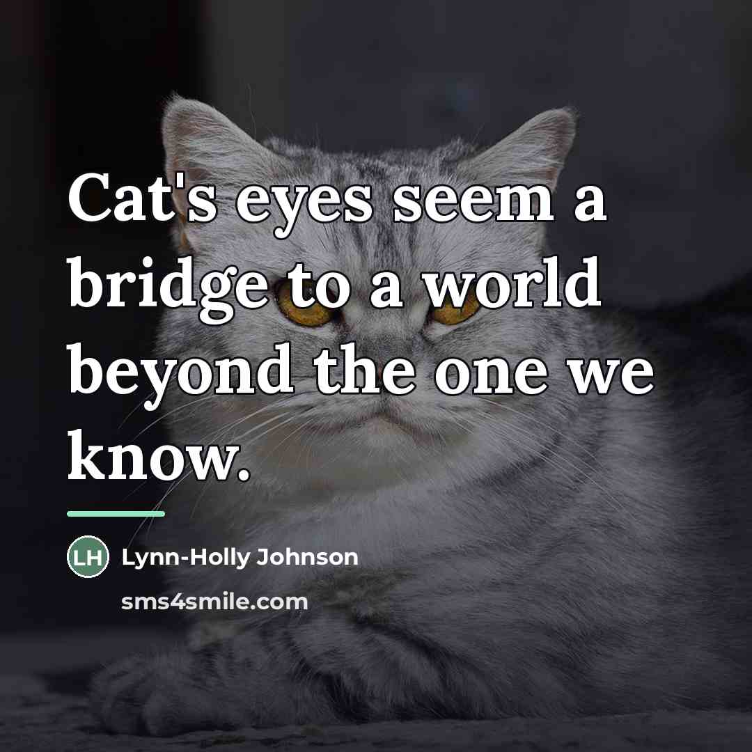 “Cat's eyes seem a bridge to a world beyond the…” quote by Lynn-Holly Johnson
