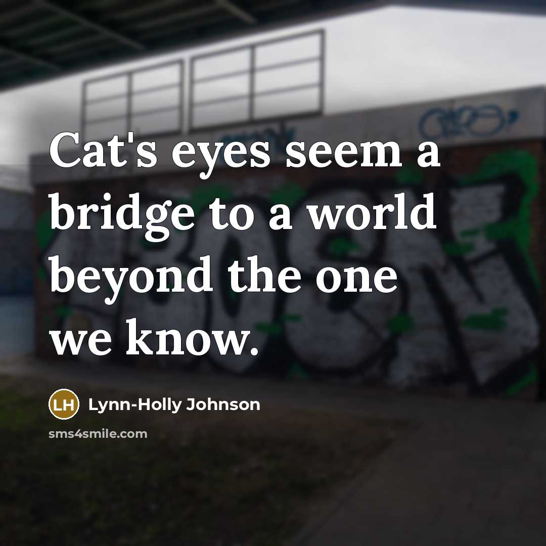 “Cat's eyes seem a bridge to a world beyond the one we know.” quote by Lynn-Holly Johnson