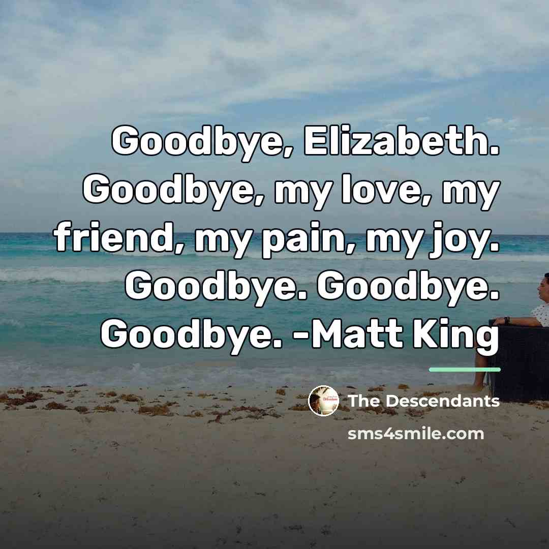 “Goodbye, Elizabeth. Goodbye, my love, my friend, my pain, my…” quote by The Descendants