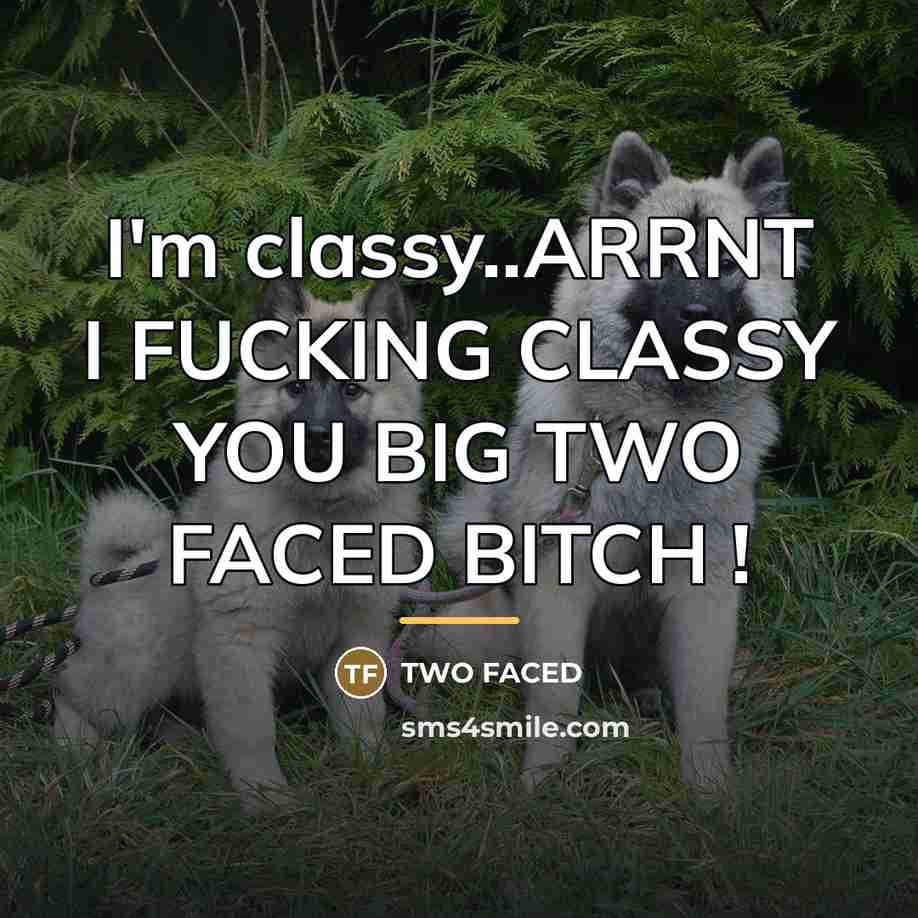 “I'm classy..ARRNT I FUCKING CLASSY YOU BIG TWO FACED BITCH…” quote by Two Faced