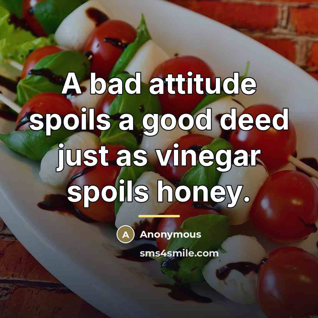 “A bad attitude spoils a good deed just as vinegar…” quote by Anonymous
