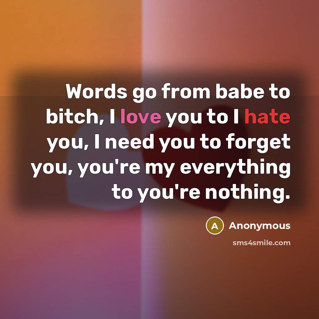 “Words go from babe to bitch, I love you to…” quote by Anonymous