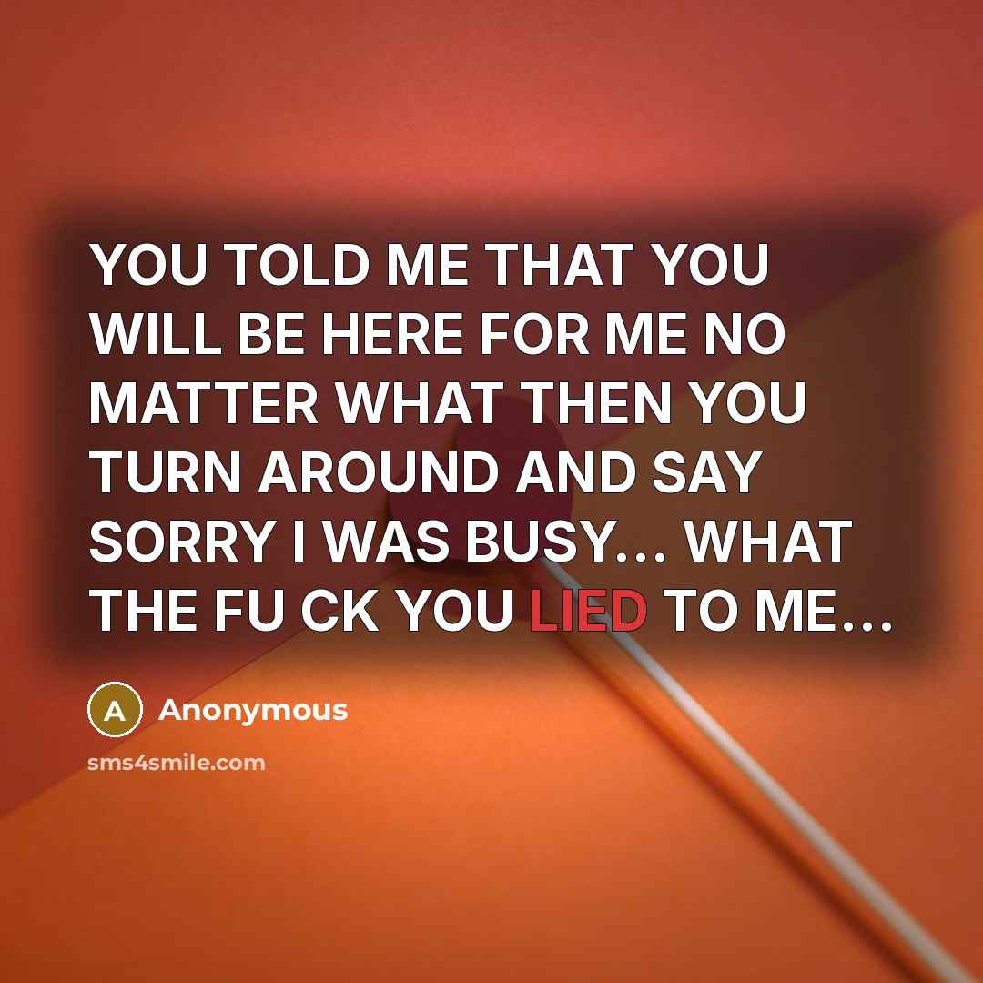 “YOU TOLD ME THAT YOU WILL BE HERE FOR ME NO MATTER WHAT THEN YOU TURN AROUND AND SAY SORRY I WAS BUSY… WHAT THE FU CK YOU LIED TO ME…” quote by Anonymous