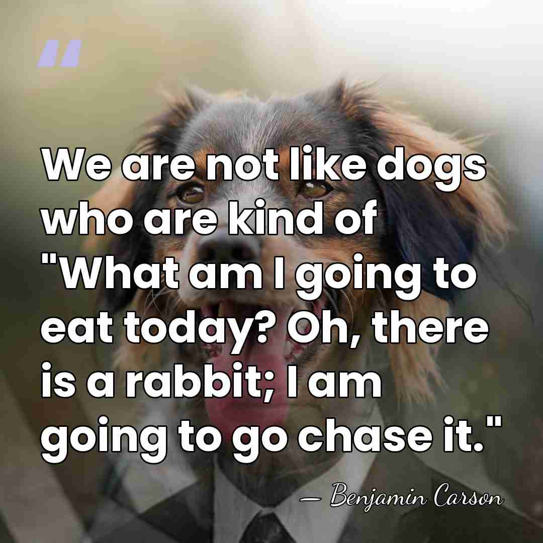 We are not like dogs who are kind of "What am I&hellip; - Benjamin Carson