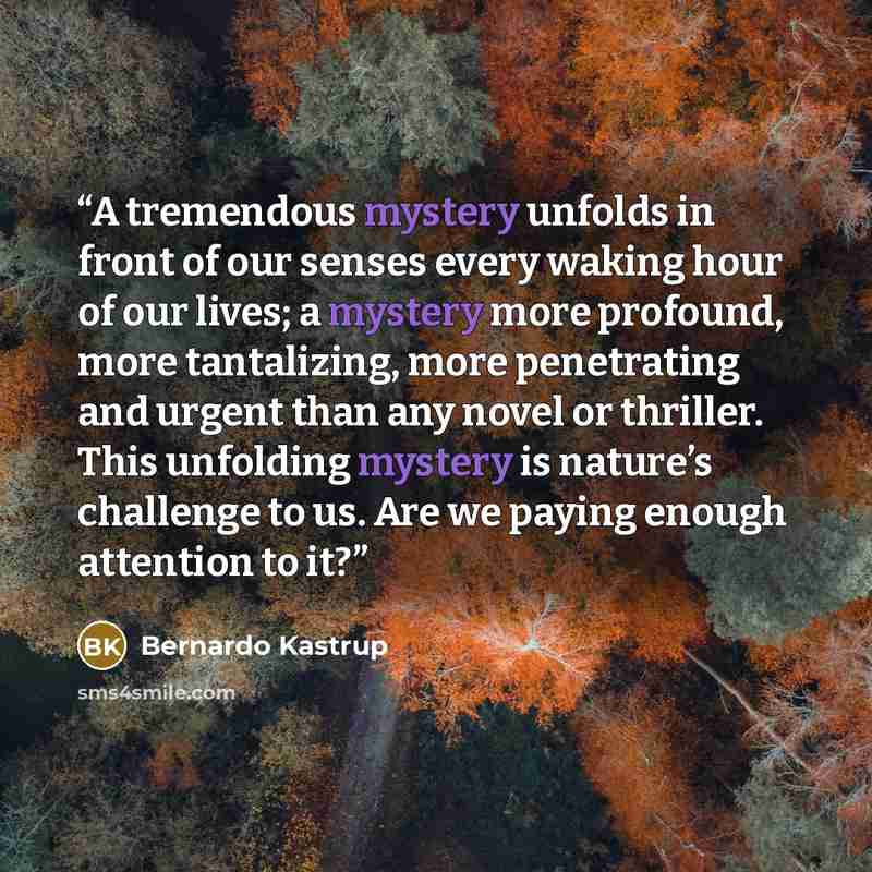 “A tremendous mystery unfolds in front of our senses every waking hour of our lives; a mystery more profound, more tantalizing, more penetrating and urgent than any novel or thriller. This unfolding mystery is nature’s challenge to us. Are we paying enough attention to it?” quote by Bernardo Kastrup