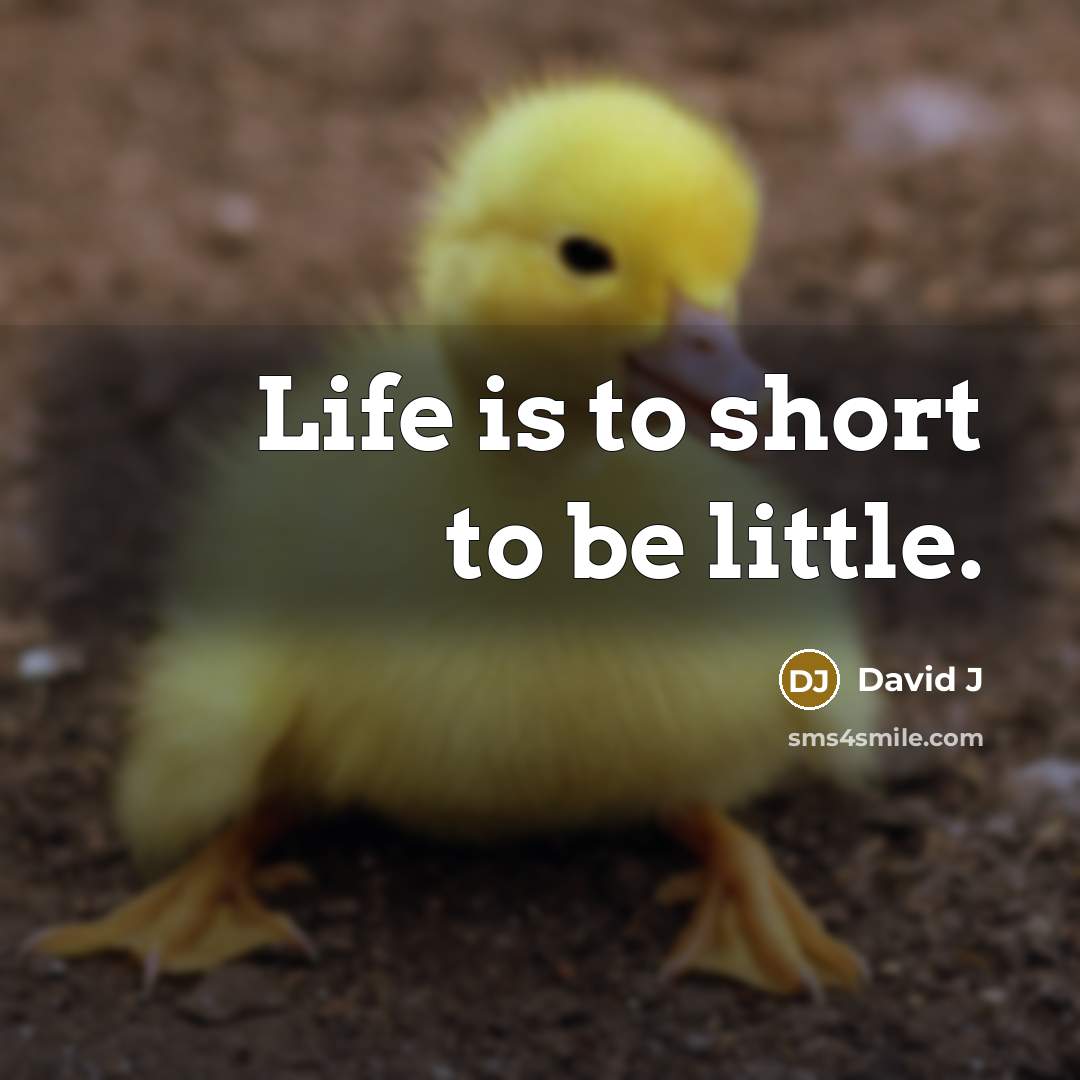 “Life is to short to be little.…” quote by David J
